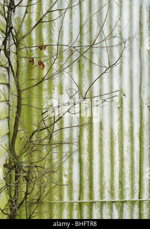 grunge and green corrugated iron wall metal background Stock Photo