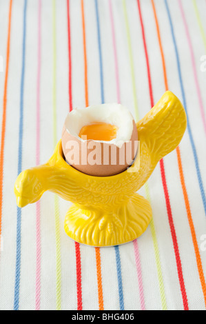 Boiled egg in eggcup Stock Photo