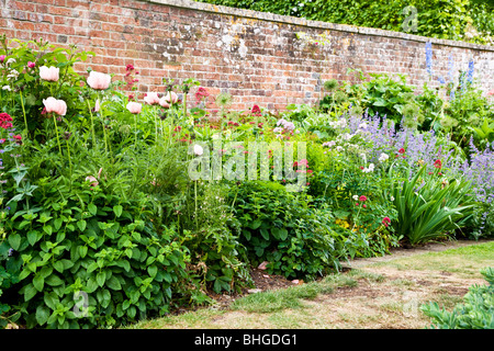 Part of a herbaceous perennial flower border in a walled garden in an English country garden. Stock Photo