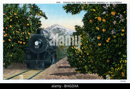 'Traveling through the Orange Groves in California', USA, 1924. Artist: Unknown Stock Photo