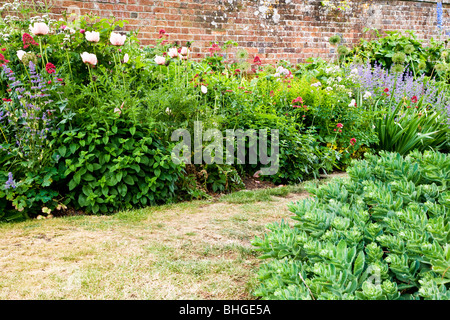 Part of a herbaceous perennial flower border in a walled garden in an English country garden. Stock Photo
