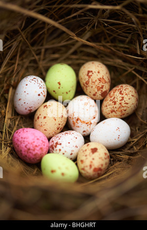Mini  Chocolate Easter Eggs in birds nest Stock Photo