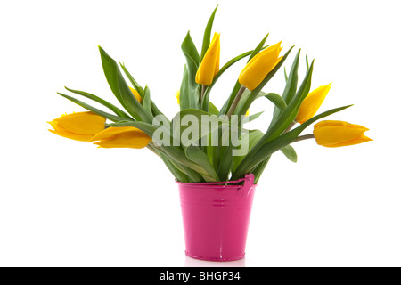 bouquet of yellow tulips in pink bucket isolated over white Stock Photo