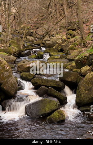 Burbage Brook flowing through Padley Gorge in the Peak District, Derbyshire,UK Stock Photo
