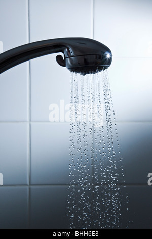water spraying from shower head Stock Photo