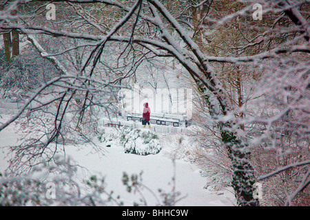 Woman walking in the snow in Central Park, New York City Stock Photo