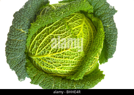 Savoy Cabbage Isolated Against A White Background Stock Photo