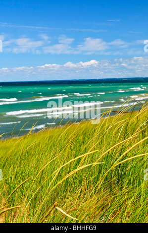 Grass on sand dunes at beach. Pinery provincial park, Ontario Canada Stock Photo