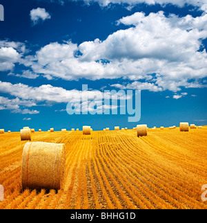 Agricultural landscape of hay bales in a golden field Stock Photo