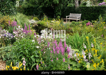 Purple loosestrife (Lythrum salicaria), dotted loosestrife (Lysimachia punctata) and mallow (Malva) at a garden pond. Design: Marianne and Detlef Stock Photo