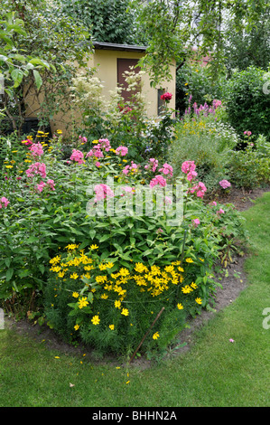 Garden phlox (Phlox paniculata) and whorled tickseed (Coreopsis verticillata) Stock Photo