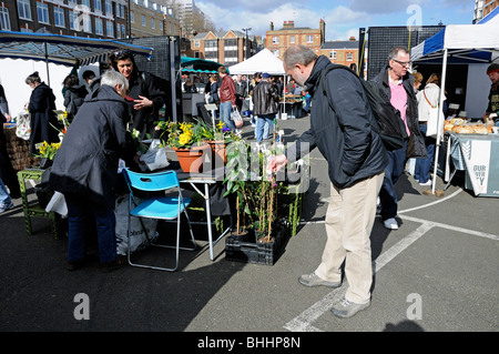 Man looking at a plant label Marylebone Farmers Market London England UK Stock Photo