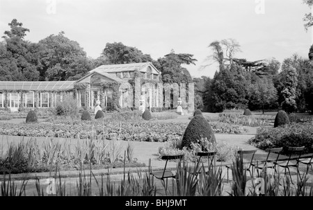 Conservatory at Syon House, Isleworth, London, c1945-1965. Artist: SW Rawlings Stock Photo