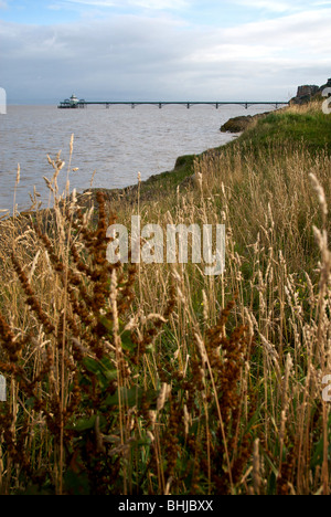 Clevedon North Somerset UK Beach Pier Sea Stock Photo