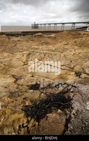 Clevedon North Somerset UK Beach Pier Sea Stock Photo