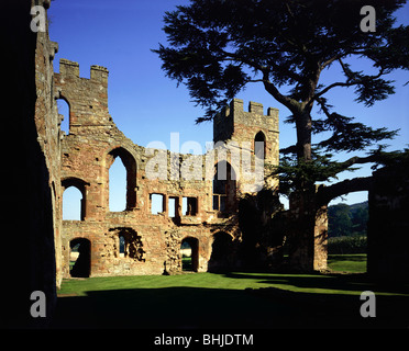 Castle Wall seen from interior, Acton Burnell Castle, Shropshire, 1985. Artist: Unknown Stock Photo