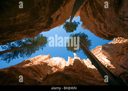A view of clouds and a blue sky in Bryce Canyon, Utah. Stock Photo
