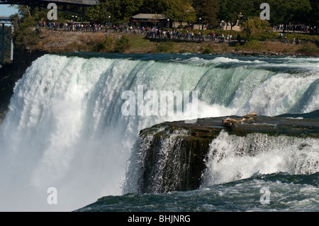 American Falls as seen from US side of Niagara Falls, Niagara Falls State Park, NY, USA Stock Photo