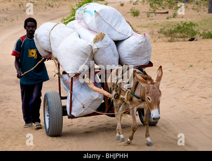 Donkey pulling a cart Stock Photo, Royalty Free Image: 85494642 - Alamy