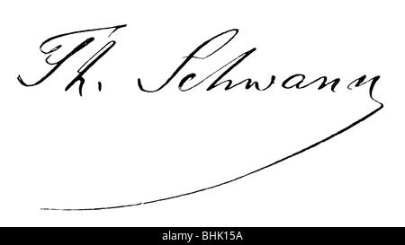 Schwann, Theodor, 7.12.1810 - 14.1.1882, German physiologist, signature, , Stock Photo