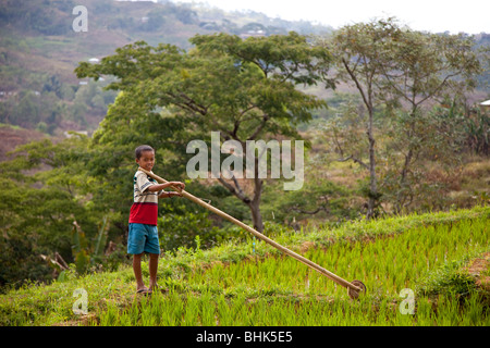 Young boy playing in the ricefields of Ruteng, Flores island Stock Photo