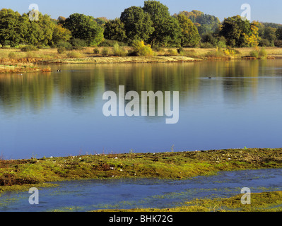 Finchampstead Berkshire England UK. View across Colebrook Lake North in Moor Green Lakes Nature Reserve Stock Photo