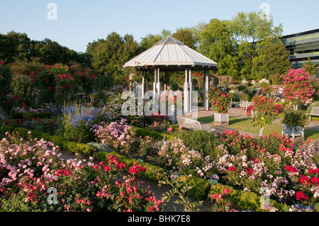 Rosengarten mit Pavillon, Planten un Blomen, Hamburg, Deutschland ...