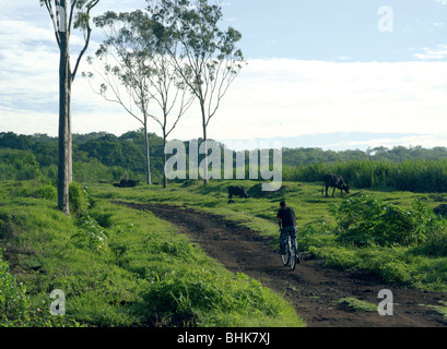 El Salvador. Agricultural landscape of the Zone Central. Stock Photo