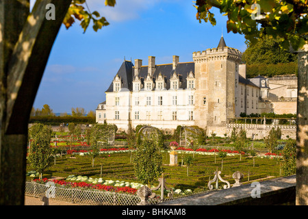 VILLANDRY CASTLE, FRANCE Stock Photo