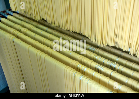 Family owned and run pasta factory in Lari, Italy: Martelli Famiglia di pastai Stock Photo