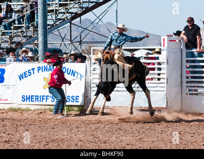 a cowboy competes in the bareback riding event during the O'Odham Tash all-indian rodeo Stock Photo