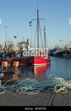 Fishing boats in Portavogie Harbour County Down Northern Ireland Stock Photo