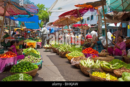 India Rajasthan Udaipur colourful vegetable market Stock Photo