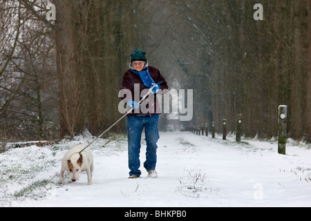 Woman walking with English Bull Terrier (Canis lupus familiaris) in winter in the snow Stock Photo