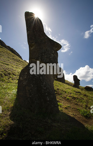 Moai at the Quarry, on Rapa Nui or Easter Island UNESCO World Heritage Site, Chile Stock Photo