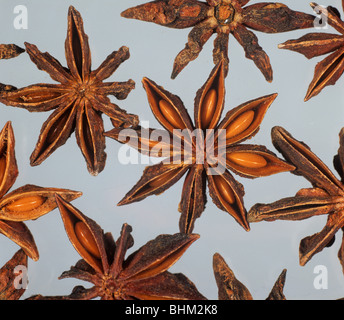 Star anise fruit (Pimpinella anisum) as purchased for cooking Stock Photo