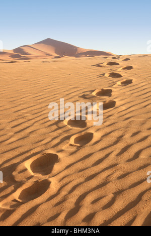 Camel footprints across Erg Chebbi sand dunes in the Sahara Desert near Merzouga, Morocco Stock Photo