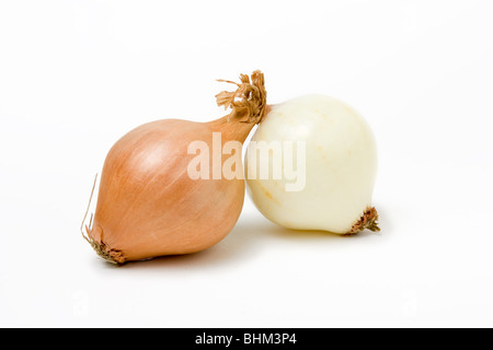 Shallot Line Up one peeled isolated against white background. Stock Photo