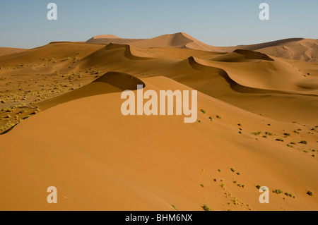 Gemsbok running between high dunes in the Namib Desert. Orix antelopes Stock Photo