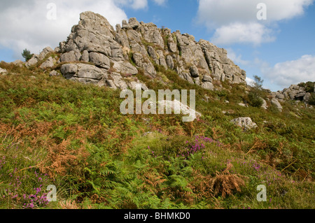 Greator Rocks  on Dartmoor Stock Photo