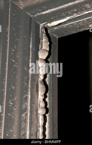 Intumescent strip on fire door expanded to stop smoke after fire Stock Photo