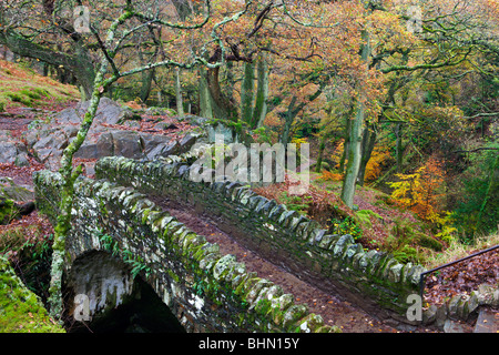 Stone bridge crossing Aira Force waterfall, Lake District National Park, Cumbria, England, UK. Autumn (November) 2009 Stock Photo