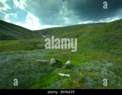 Fen of flowering herbs and grasses, Kosciuszko National Park, NSW Australia Stock Photo
