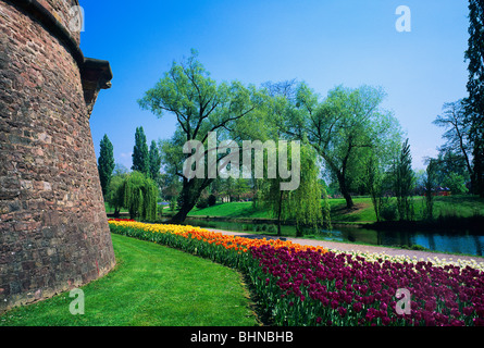 Tulip flowerbeds and Vauban ramparts,  Parc de la Citadelle, citadel park, Strasbourg, Alsace, France Stock Photo