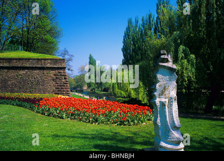 Tulip flowerbeds and Vauban ramparts,  Parc de la Citadelle, citadel park, Strasbourg, Alsace, France Stock Photo