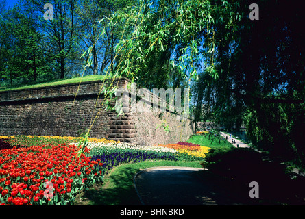 Tulip flowerbeds and Vauban ramparts,  Parc de la Citadelle, citadel park, Strasbourg, Alsace, France Stock Photo