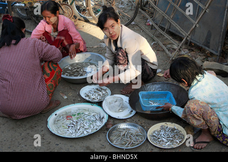 Myanmar, Burma, Chauk village, market, Stock Photo