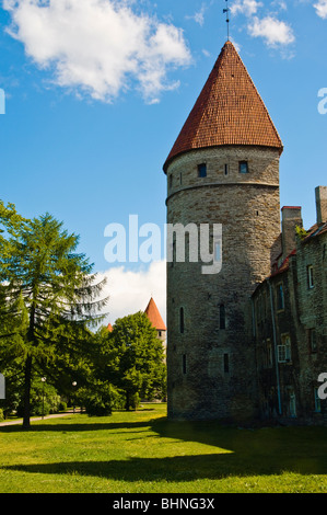 Section of the city walls around the Old Town (Vanalinn), Tallinn, Estonia Stock Photo