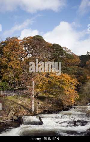 Waterfall on fast flowing Afon Ogwen River in Snowdonia National Park in autumn near Bethesda, Gwynedd, North Wales, UK, Britain Stock Photo