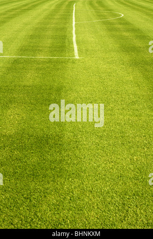 Area white lines on football green grass field Stock Photo